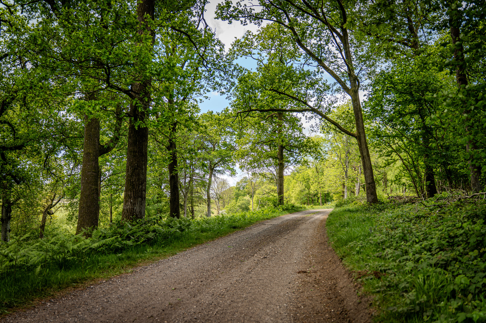 Herriard Studios - Studio 1